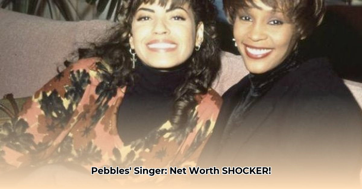 pebbles-singer-net-worth